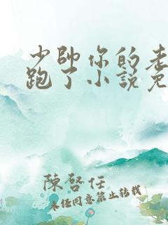 少帅你的老婆又跑了小说免费阅读