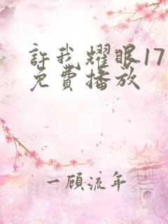 许我耀眼17集免费播放