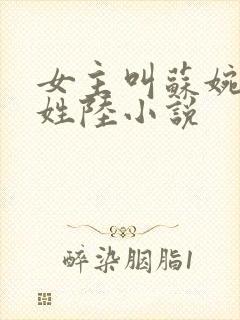 女主叫苏婉男主姓陆小说