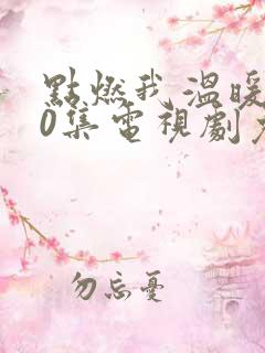 点燃我温暖你40集电视剧免费看全集