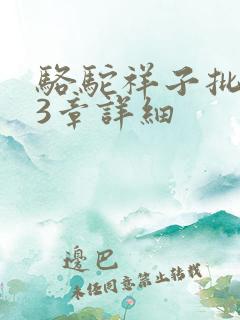 骆驼祥子批注13章详细