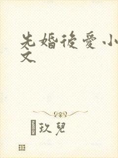 先婚后爱小说推文