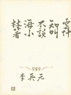林海不知云深原著小说叫什么
