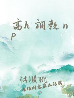 高h 调教 np