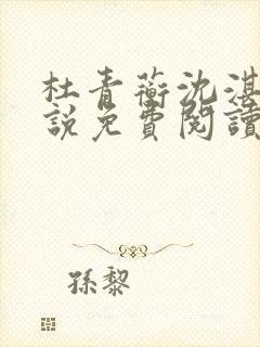 杜青蘅沈湛的小说免费阅读无弹窗