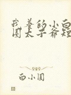 我养的小白脸京圈太子爷短剧