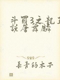 斗罗3之龙王传说唐舞麟