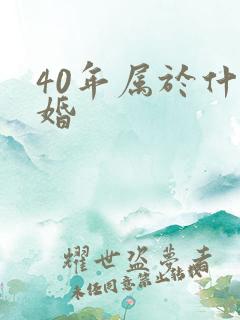 40年属于什么婚