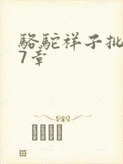 骆驼祥子批注第7章