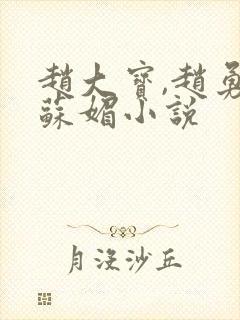 赵大宝,赵勇,苏媚小说