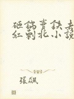 砸锅卖铁去上学红刺北小说在线