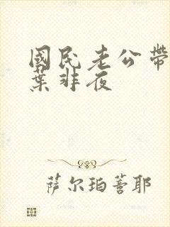 国民老公带回家叶非夜