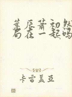 叶辰萧初然大结局在一起吗