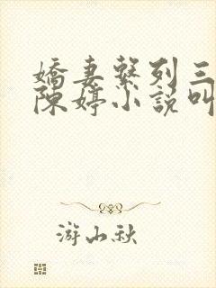 娇妻系列三部曲陈婷小说叫什么名字