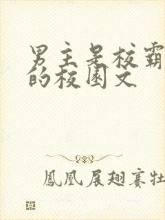 男主是校霸痞帅的校园文