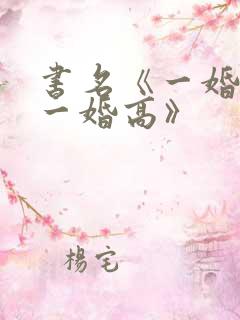 书名《一婚还比一婚高》
