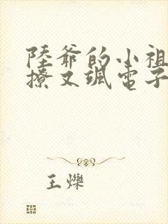 陆爷的小祖宗又撩又飒电子书