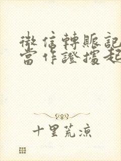 微信转账记录能当作证据起诉吗