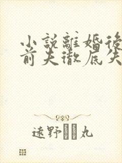 小说离婚后豪门前夫彻底失了控时漾无弹窗