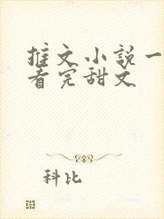 推文小说一口气看完甜文