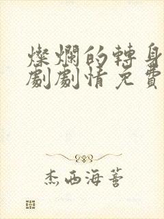 灿烂的转身电视剧剧情免费观看