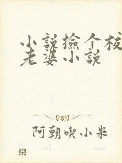 小说捡个校花做老婆小说