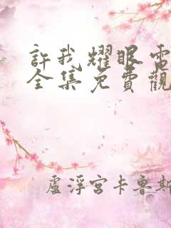 许我耀眼电视剧全集免费观看17集