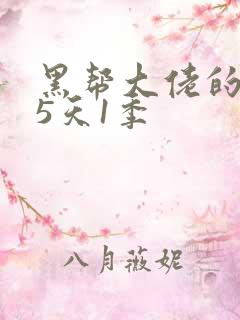 黑帮大佬的365天1季