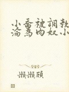 小乔被调教喷水沦为肉奴小说