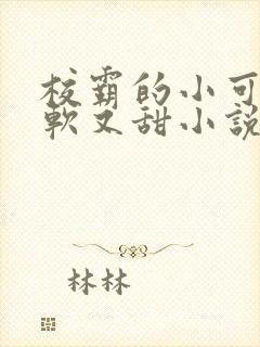 校霸的小可怜又软又甜小说