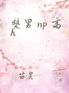 双男 np 高h
