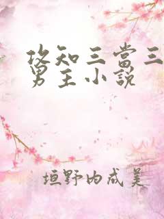 攻知三当三的双男主小说