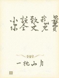 小说致我最爱的你全文免费阅读