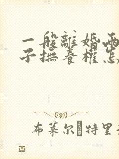 一般离婚两个孩子抚养权怎么判