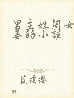 男主姓周女主姓姜的小说