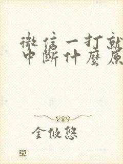 微信一打就通话中断什么原因