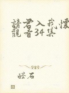 请君入我怀免费观看34集