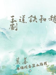 王道铁和赵佳短剧