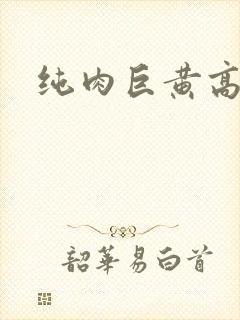 纯肉巨黄高h