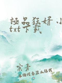 极品狂婿 小说txt下载