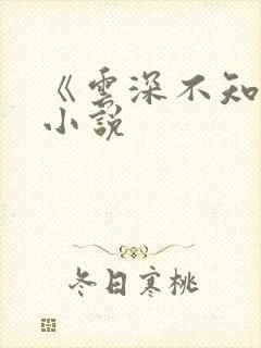 《云深不知梦》小说