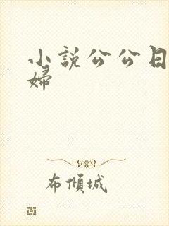 小说公公日儿媳妇