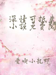 深情可抵岁月长小说免费阅读