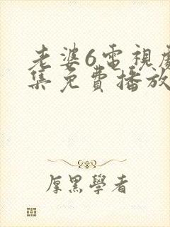 老婆6电视剧全集免费播放西瓜