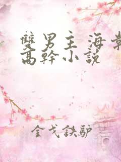 双男主 海棠 高干小说