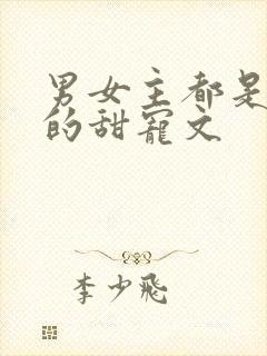 男女主都是总裁的甜宠文