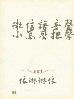 微信语音声音很小怎么把声音调大