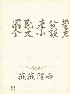 国民老公带回家全文小说免费阅读