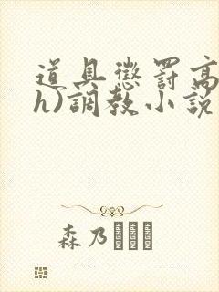 道具惩罚高潮(h)调教小说