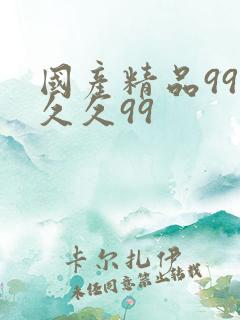 国产精品99久久久99